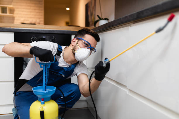 Best Pest Control Cost  in Three Oaks, MI