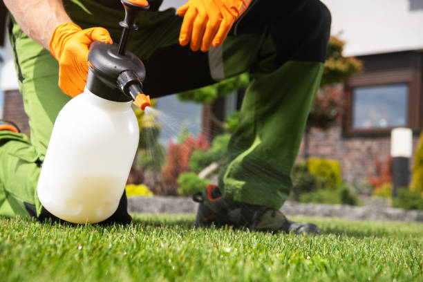 Best Local Pest Control Services  in Three Oaks, MI