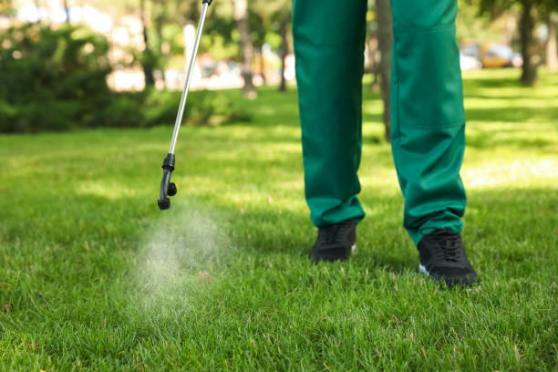 Best Emergency Pest Control  in Three Oaks, MI