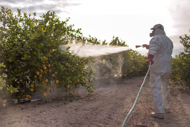 Best Pest Prevention Services  in Three Oaks, MI