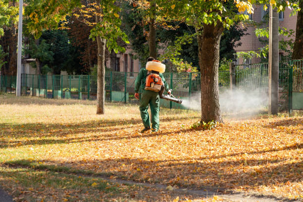 Best Bird Control  in Three Oaks, MI
