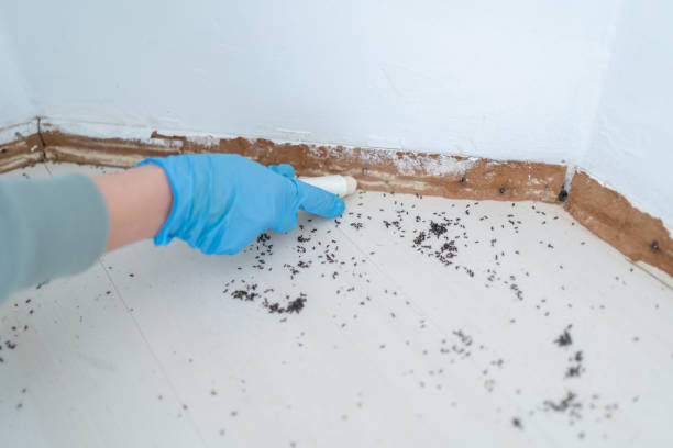 Pest Control Cost in Three Oaks, MI